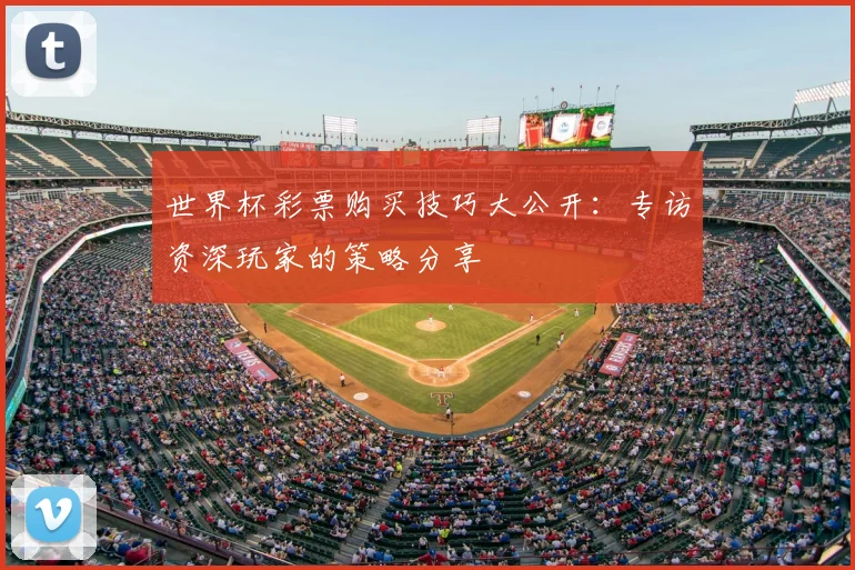 世界杯彩票购买技巧大公开：专访资深玩家的策略分享