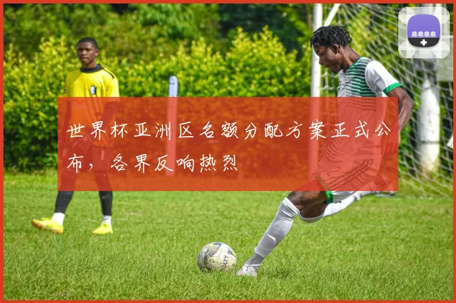 世界杯亚洲区名额分配方案正式公布,各界反响热烈