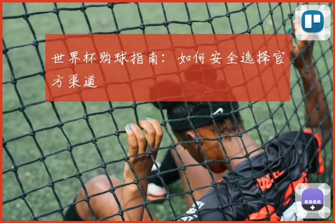 世界杯购球指南：如何安全选择官方渠道
