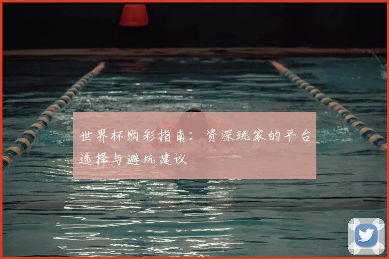 世界杯购彩指南：资深玩家的平台选择与避坑建议