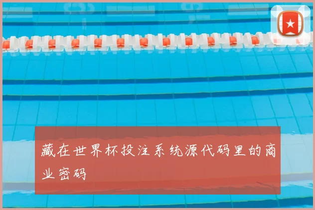 藏在世界杯投注系统源代码里的商业密码