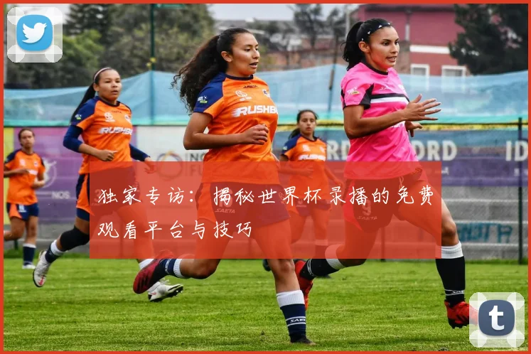 独家专访：揭秘世界杯录播的免费观看平台与技巧
