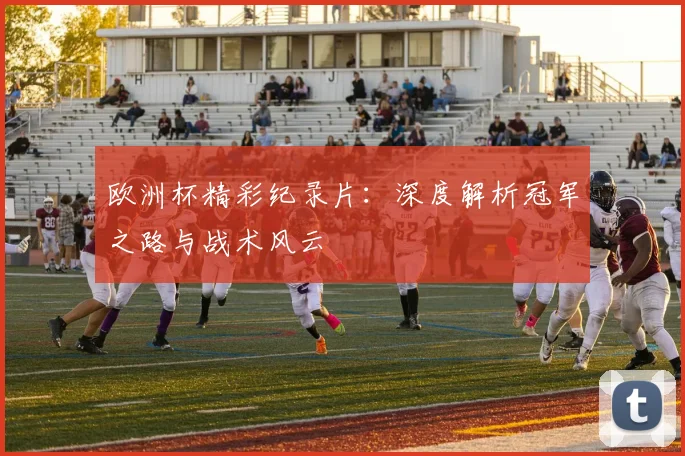 欧洲杯精彩纪录片：深度解析冠军之路与战术风云