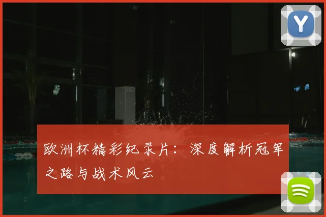 欧洲杯精彩纪录片：深度解析冠军之路与战术风云